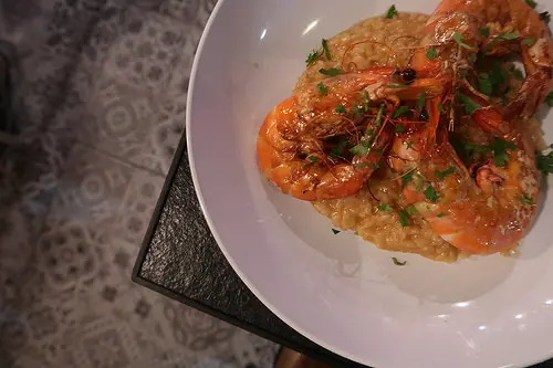 【新莊美食】迷路小章魚|來自屏東的美味餐酒館，猶如地獄廚房般的開放式料理台/適合情侶/氣氛好/海鮮料理@鮪魚的奶奶