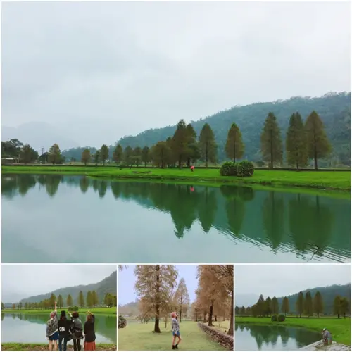【宜蘭景點】員山 蜊埤湖。一整排超夢幻落羽松秘境。湖面倒影浪漫的嫑嫑的。宜蘭私房景點