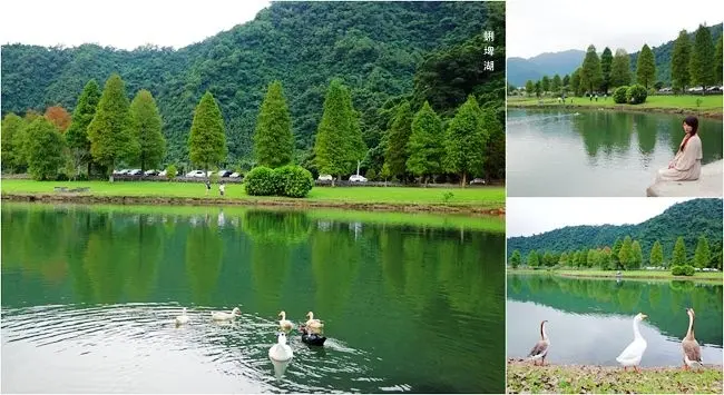 宜蘭員山落羽松秘境 ▶ 蜊埤湖 ▶ 湖畔旁落羽松林 湖光倒影的浪漫 秋冬最美麗的景色 宜蘭IG打卡景點、宜蘭一日遊景點!