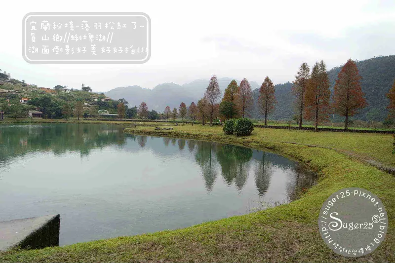 [旅遊]宜蘭免費景點*落羽松紅了*//蜊埤湖//小秘境~湖面倒影好美好好拍!!--宜蘭員山鄉