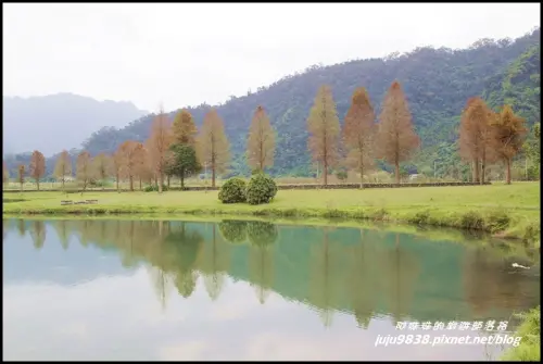 宜蘭。員山蜊埤湖福園落羽松秘境