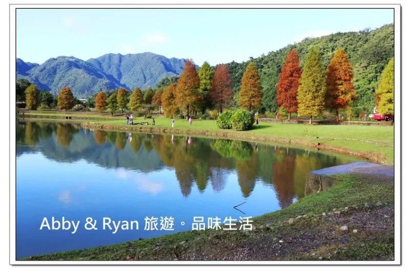 【宜蘭員山落羽松】蜊埤湖落羽松~湖畔旁的落羽松倒影好唯美！