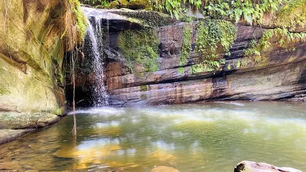 新北秘境│望古車站│平溪線最神秘的火車站│空靈森林系景點│望古瀑布寶石般碧綠色水潭│來一趟忘憂清靜小旅行