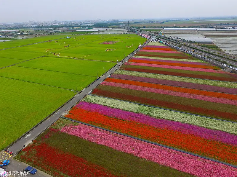 【嘉義│景點】春節出遊好去處，25公頃大片油菜花，藏著白色教堂，彩色花田在大地交織成美麗畫布。2017年太保市花海節