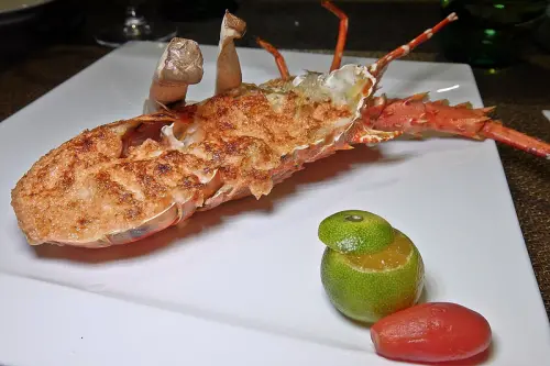 就一套 Zado ,完全預約制的美食店家,超划算聖誕大餐