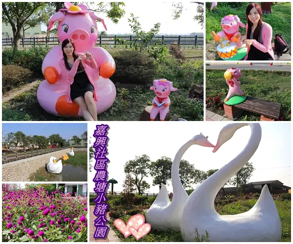 【雲林景點】大埤嘉興社區農塘小豬公園~沉靜在浪漫幸福的國度的白天鵝        
      