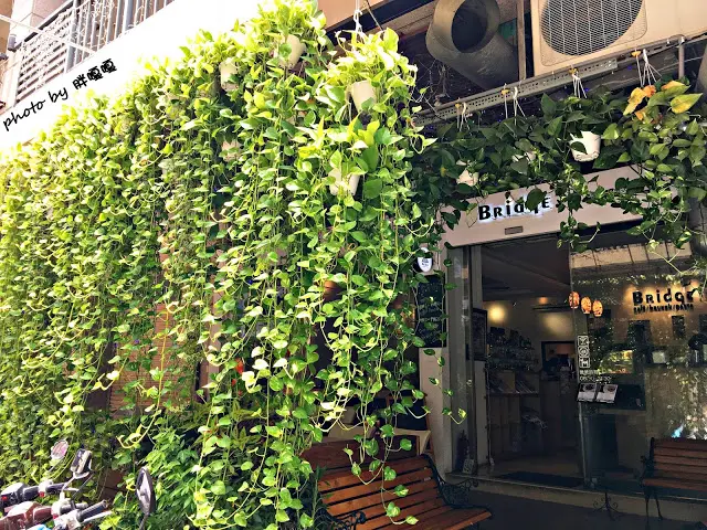 【台中 北區】橋。咖啡 Bridge Café🌻🌻🌻花朵特調好吸睛，有夏季限定的芒果花，招牌橋餅也有限定口味，傳說中的爆漿龍蝦沙拉蛋餅，從早賣到晚的早餐店，品項十分多元
