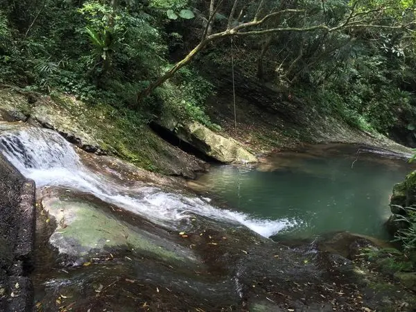 *新北坪林*私房景點【貴妃池】，冰涼清澈的泉水、高聳的樹蔭遮蔽，超級消暑勝地!!
