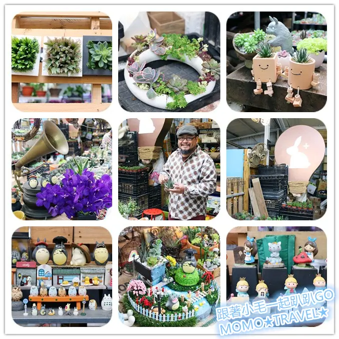 台北旅遊-鐵花棧町文化市集 數不盡的豐富精彩好貨~ 多肉迷們的仙人掌花園