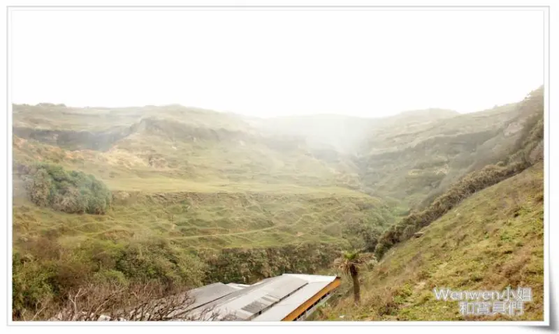 ❤彷彿動物大遷徙。看放牧牛群排隊回家-丘陵草原趴趴走,還能看海看飛機賞落日@林口大峽谷(八里水牛坑）遛小孩免費景點