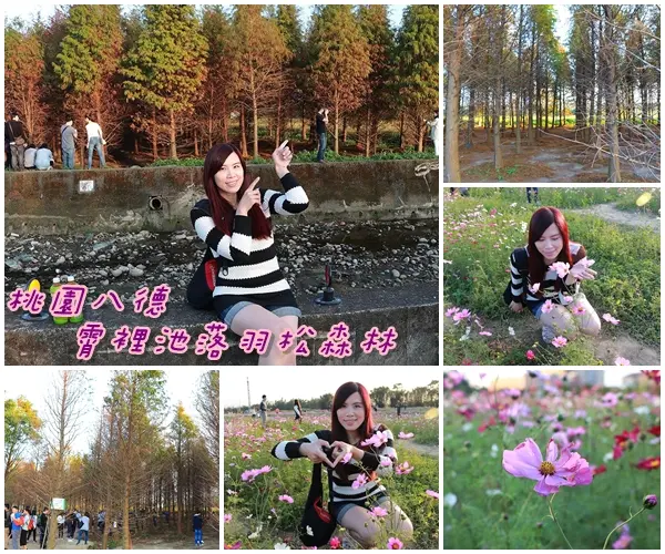 【桃園景點】桃園八德霄裡池落羽松森林~有身處異地的FU，難怪成為旅人們賞落羽松的必造訪的景點        
      