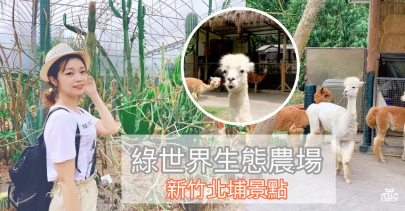 新竹親子一日遊景點|綠世界生態農場|跟草泥馬一起散步去！