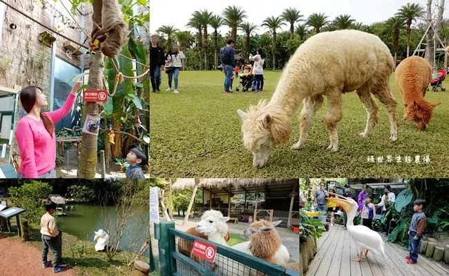 新竹親子旅遊景點 ▶ 綠世界生態農場 ▶ 大草皮上與可愛羊駝、鵜鶘互動 樹懶、鳥園、蝴蝶園  門票及園區介紹、北埔一日遊!