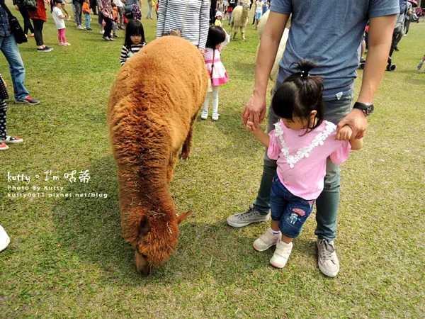 ▌新竹景點 ▌北埔_綠世界生態農場，金剛鸚鵡、草泥馬！親子旅遊踏踏青