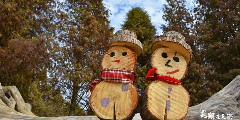 超美紅葉秘境，雪人闖入139縣道,中部超美的落羽松林~還有可愛的小麋鹿!!!帶你空拍深入秘境(飛翔在天際)~過年必訪景點(就是要大紅啊!)