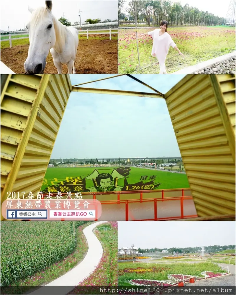 【南部春節景點】屏東熱帶農業博覽會. 蜜拉喬娃維琪在稻田上