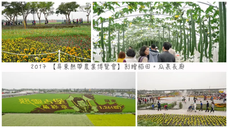 【屏東。景點】2017 屏東熱帶農業博覽會 💋 彩繪稻田。瓜果長廊。花海。玉米迷宮。蘭藝館。藝術盆栽《免費入場》