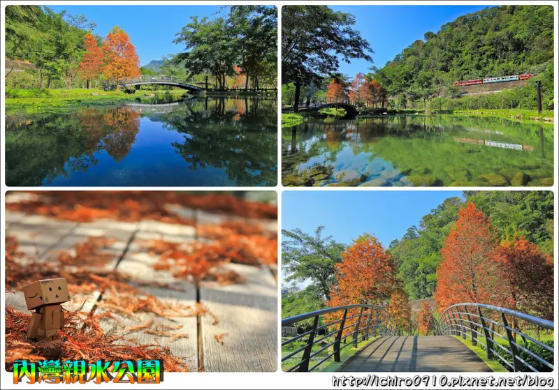 [遊記]【新竹縣橫山鄉】內灣親水公園。落羽松季節限定美景│來內灣老街、合興車站玩記得別錯過！！