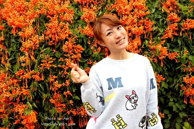 [苗栗銅鑼]快來銅鑼環保公園賞花吧！整片炮仗花海，IG熱門打卡點。