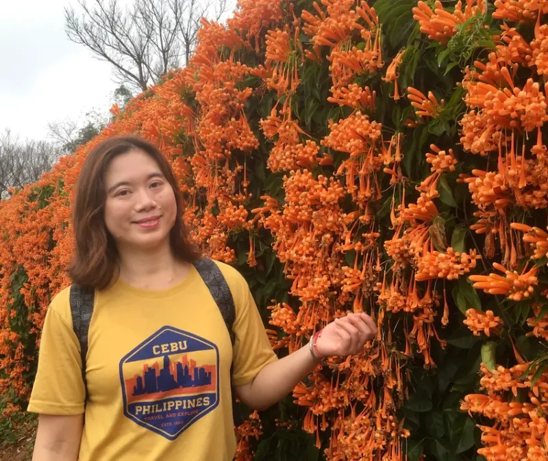 苗栗現在正夯花季炮仗花-農曆春節走春首選