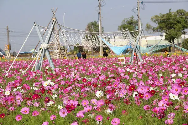 雲林-2017年石龜溪花海節