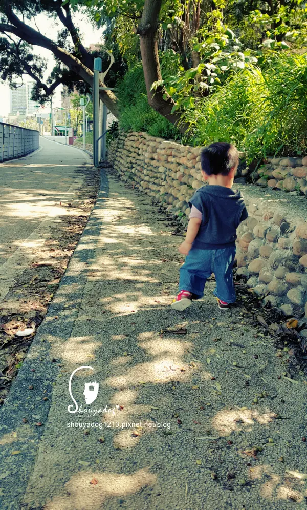 【景點】中壢老街溪步道-遛小孩的好所在              