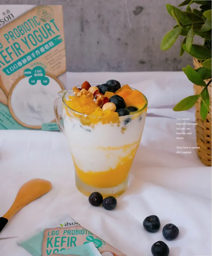 米森Vilson30秒手作優格、培養好菌讓你嗯嗯順暢