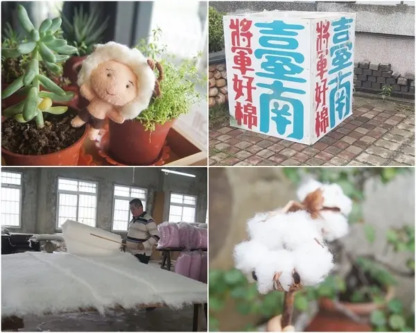 拜訪棉被的故鄉 台南將軍好棉 一日遊，將軍農村旅遊服務中心奉茶趣、苓子寮木棉花秘境、拔紅蘿蔔農村旅活體驗、冠和棉業行感受老師傅手工被的溫度