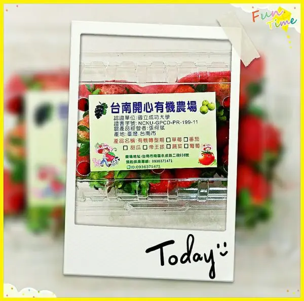 台南南區~開心有機農場‧近市區的有機草莓園‧放心讓孩子享受摘採的樂趣