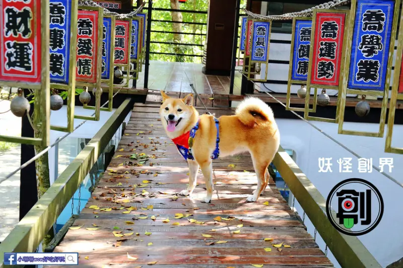 【遊。南投】妖怪創界-糖狗村〜秒飛日本來這裡！妖怪村另一新作，奇幻的網美拍照景點，讓毛孩一秒變網美！