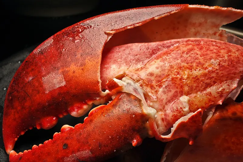 武木精緻鍋物大安店,東區/海鮮鍋物好選擇,牛奶鍋不錯唷!! (有包廂)