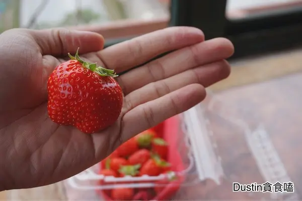 【田園美色草莓園】內湖採草莓_白石湖吊橋 ‧ 碧山巖｜大台北親子踏青/DIY行程推薦『台北內湖』