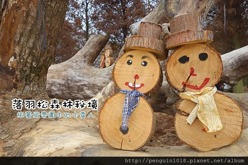 【南投市免費景點】森林裡可愛木頭緞帶圍巾小雪人，木製麋鹿、彩色木椅，北國美景怎麼拍都好浪漫！【南投落羽松森林】