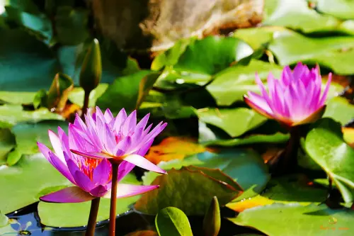 (食-屏東枋寮) 枋寮3號館 / 藏身郊區美觀咖啡館