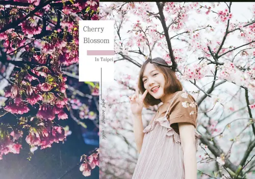 台北捷運一日遊｜2019台北賞櫻｜內湖樂活公園賞櫻花 | IG打卡東湖櫻花景點