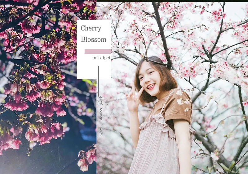台北捷運一日遊｜2019台北賞櫻｜內湖樂活公園賞櫻花 | IG打卡東湖櫻花景點