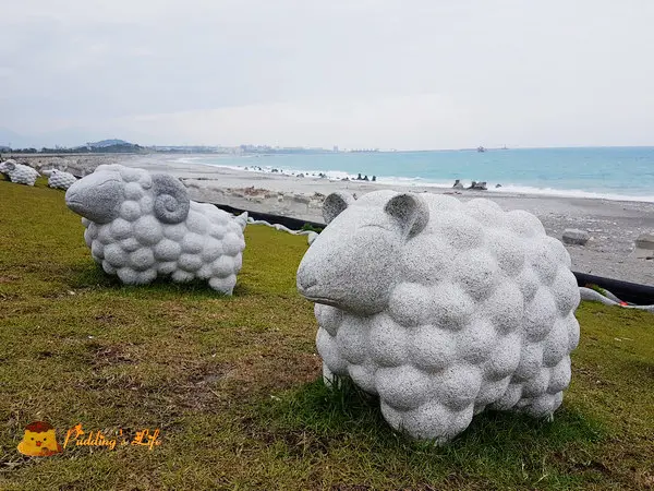 【花蓮旅遊】吉安-海岸邊放牧的賣萌小羊《化仁海堤》兩潭自行車道
