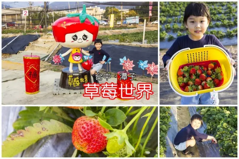【玩樂．台中】台中也能採草莓？潭子草莓世界～不用到苗栗大湖，台中市區就能開心採草莓