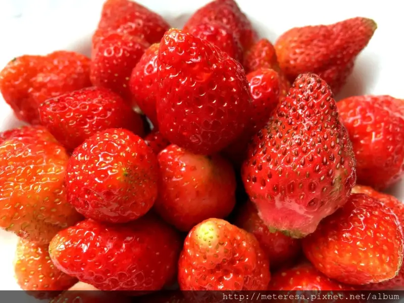 【南投國姓】草莓季又來了~避開人潮，國姓鄉整排草莓園隨你選!!!
