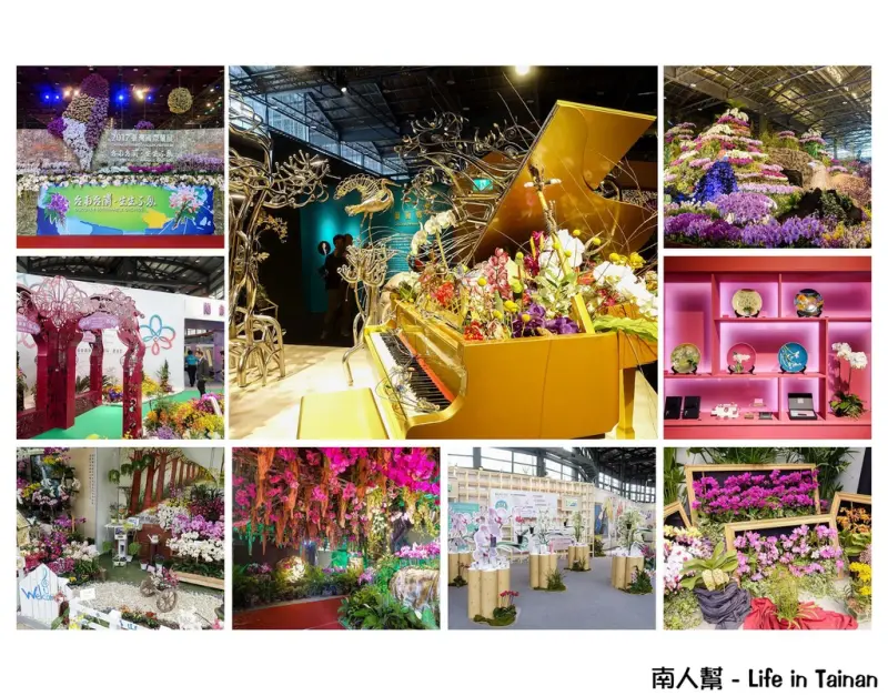 【台南後壁區-展覽】堪稱10年來最盛大│期間限定賞蘭花~~2017臺灣國際蘭展(至03月13日)