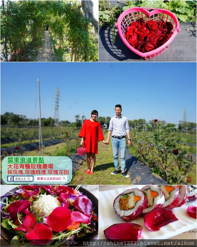 【屏東美食景點.情人節推薦】大花有機玫瑰農場景觀餐廳.日光玫瑰夢幻入菜