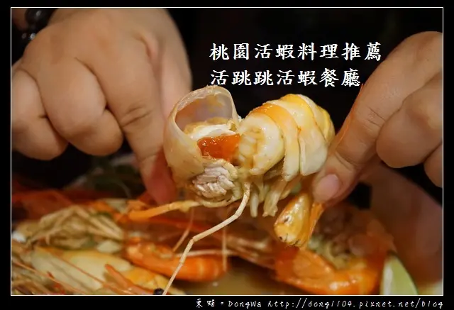 【桃園食記】桃園市活蝦料理海鮮餐廳|每日屏東直送活體泰國紅頭母蝦|活跳跳活蝦餐廳