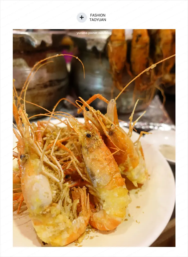 【邀】桃園巿美食│活跳跳活蝦餐廳吃得到新鮮的活蝦料理