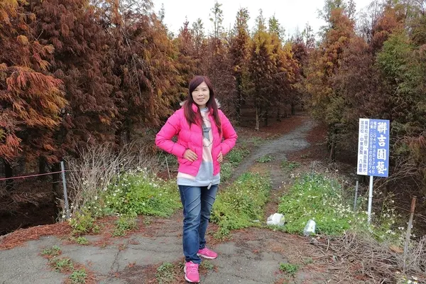 【彰化大村景點】大村落羽松祕境~優雅的紅色地毯，景致充滿異國情調        
      