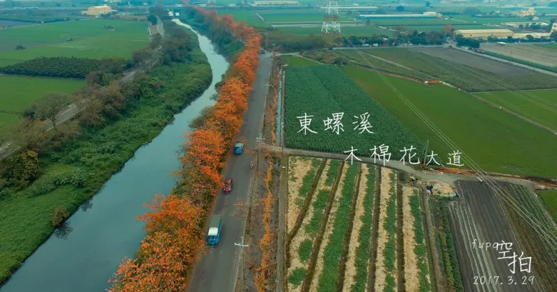 空拍-東螺溪紅棉樹大道,綿延數公里的橘色道路,粉紅愛心自行車步道,滿滿綻放~倒影拍攝就像在國外!2017.3.29~北斗交流道旁