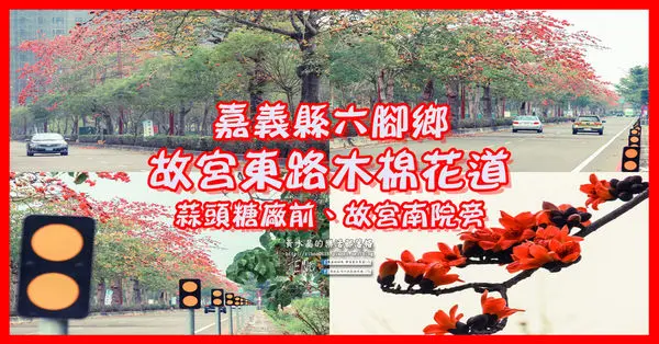 故宮東路木棉花道|嘉義縣六腳鄉賞花景點；蒜頭糖廠前的路邊木棉花道。