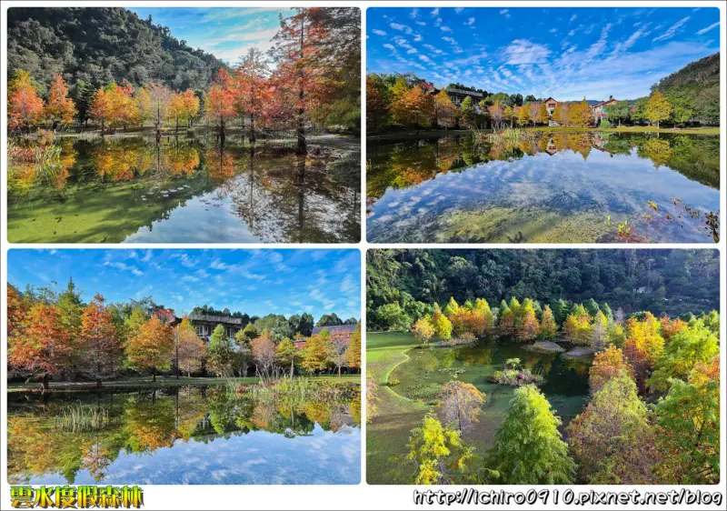 [遊記]【苗栗縣南庄鄉】2017雲水度假森林。全台10大落羽松秘境之一│一覽羽松湖全景│迷你版雲山水│季節限定美景│2017.12.10落羽松現況參考