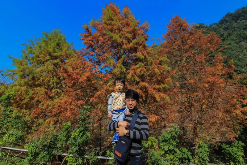 全台落羽松十大秘境：2018雲水渡假森林，如夢境超美的羽松湖倒影，溫泉足湯冬季限定。