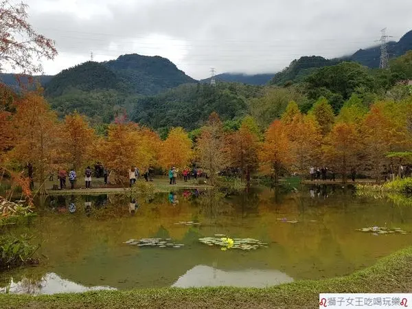 (苗栗●南庄)苗栗新景點~南庄雲水度假森林~羽松湖草原~泡湯、住宿、下午茶、景觀餐廳