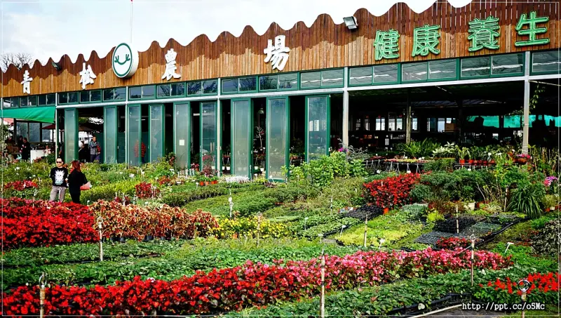 【青松農場】無料免費入場～親子同遊好去處，飲品、餐點、合菜料理美食，附近還有華泰名品城可以逛街，假日出遊的好勝地